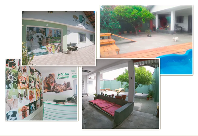 Estrutura da Vida Animal na Vila Mirim: fachada, recepção, área de descanso e piscina da creche